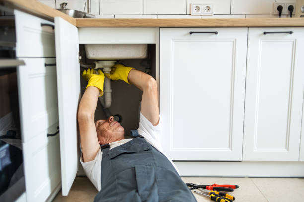 Best Clogged Drain Plumber  in Erie, IL